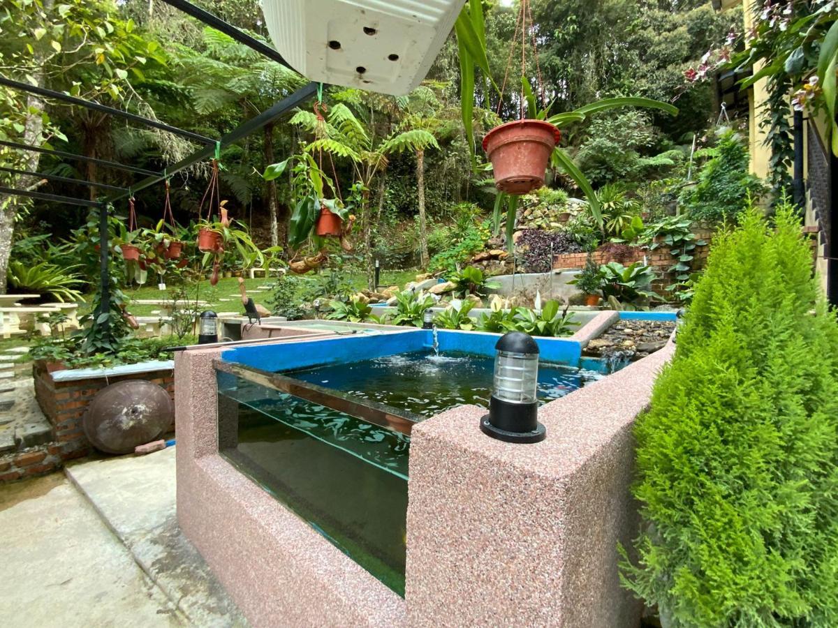 Highlanders Garden Guesthouse At Arundina Cameron Highlands Buitenkant foto