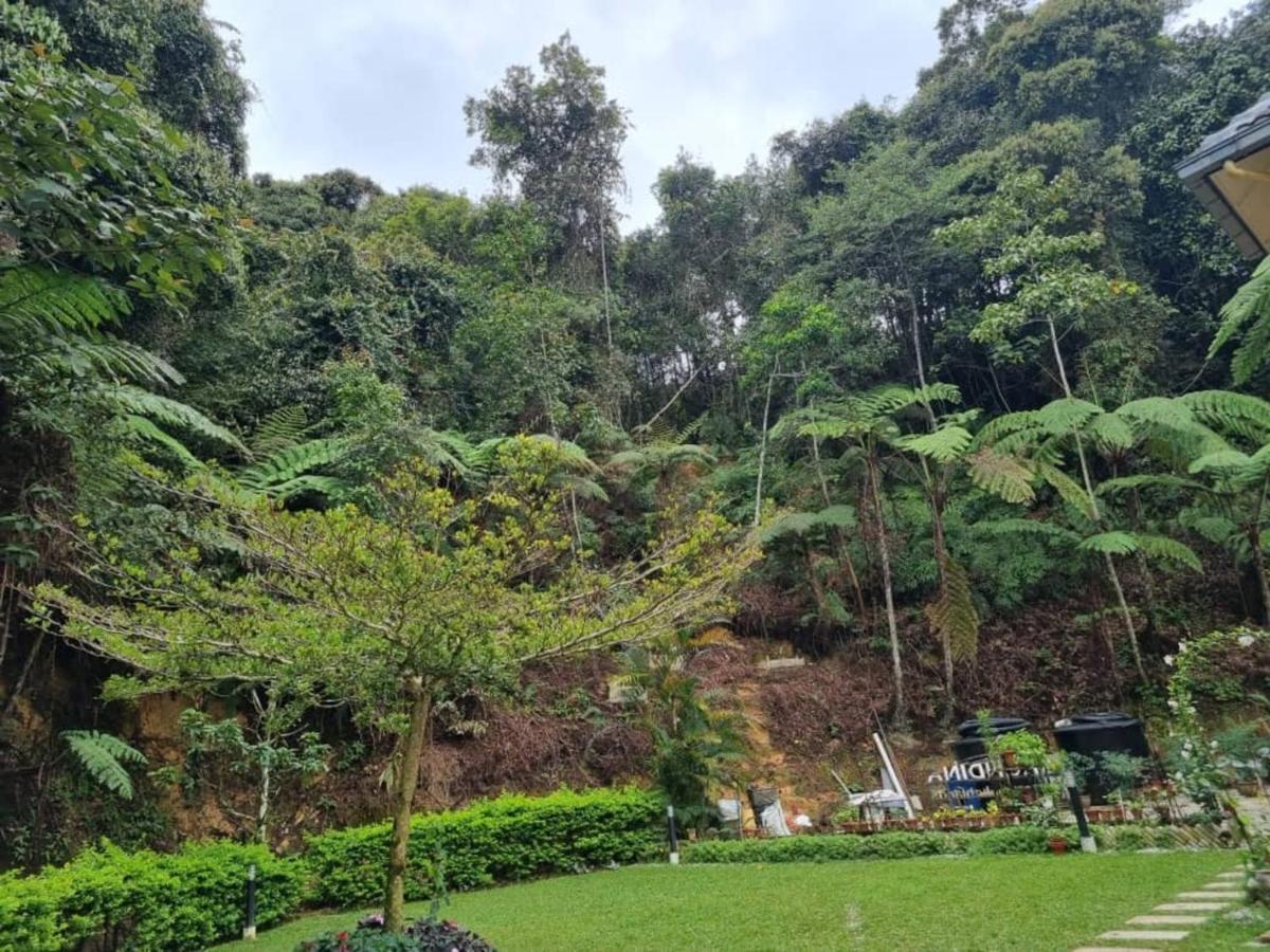 Highlanders Garden Guesthouse At Arundina Cameron Highlands Buitenkant foto