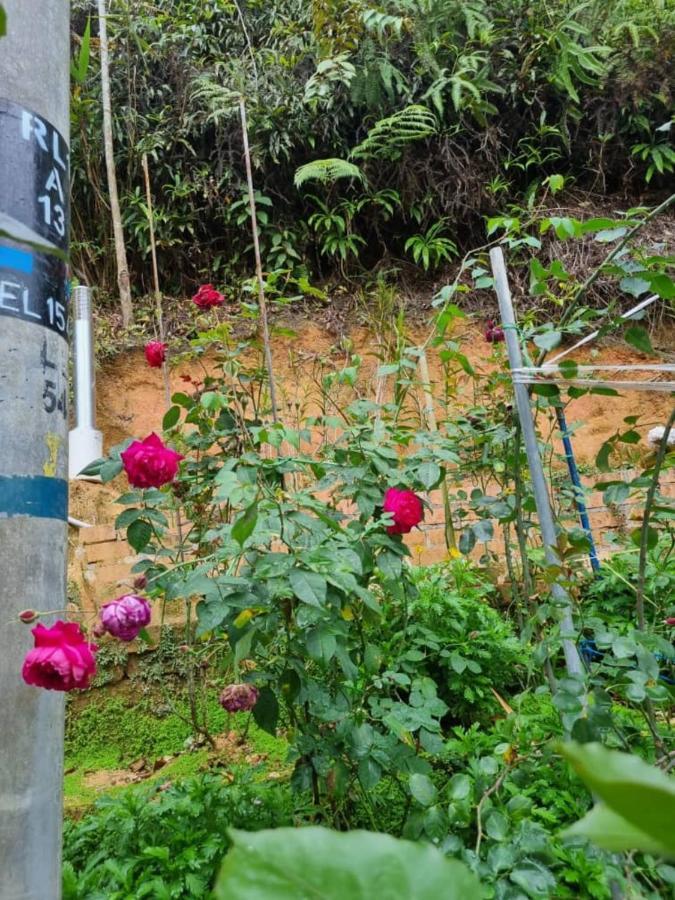 Highlanders Garden Guesthouse At Arundina Cameron Highlands Buitenkant foto