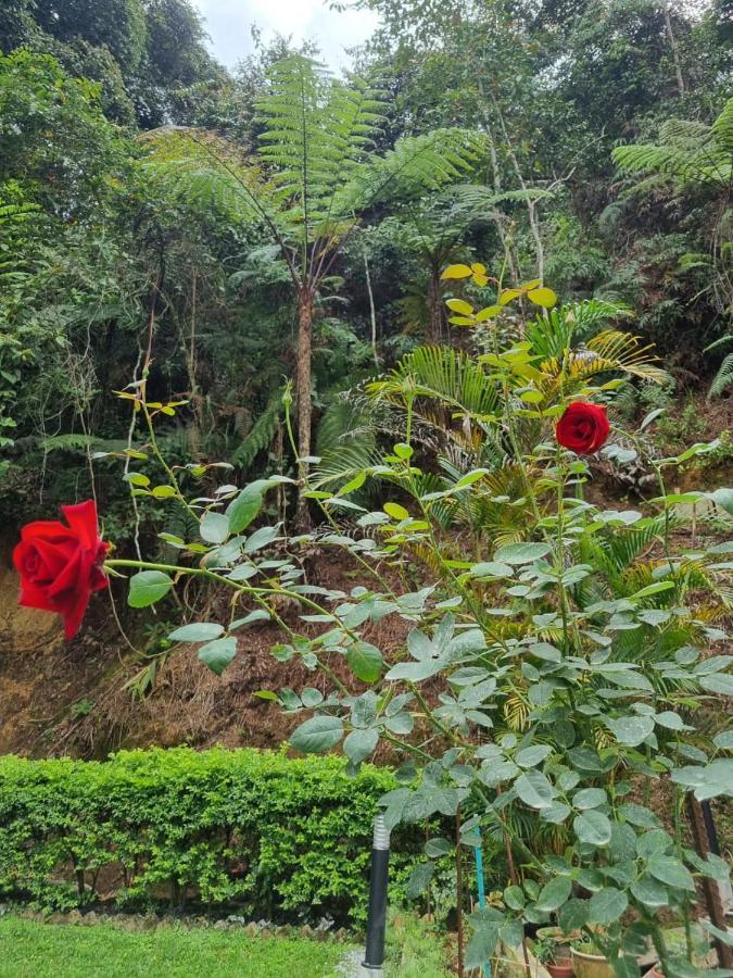 Highlanders Garden Guesthouse At Arundina Cameron Highlands Buitenkant foto