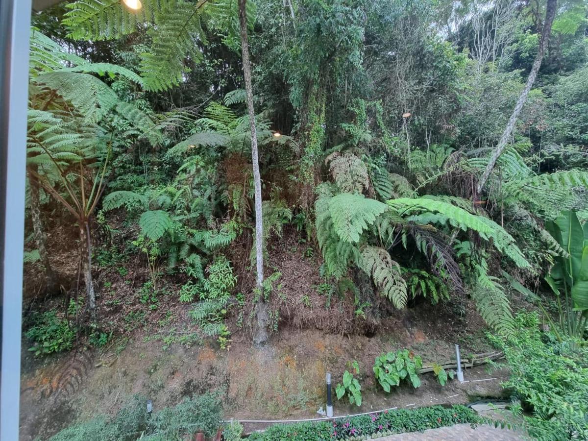Highlanders Garden Guesthouse At Arundina Cameron Highlands Buitenkant foto
